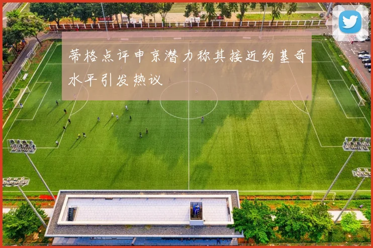 蒂格点评申京潜力称其接近约基奇水平引发热议