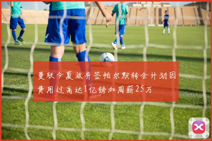 曼联今夏放弃签帕尔默转会计划因费用过高达1亿镑加周薪25万